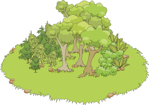 17fern